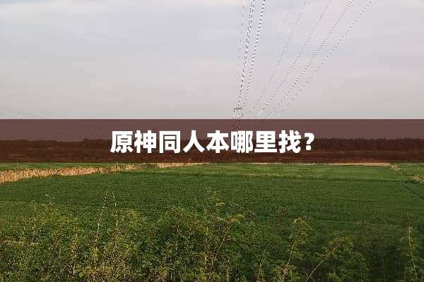 原神同人本***？