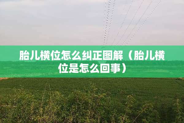 胎儿横位怎么纠正图解（胎儿横位是怎么回事）