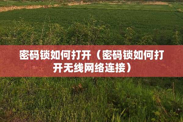 密码锁如何打开（密码锁如何打开无线网络连接）