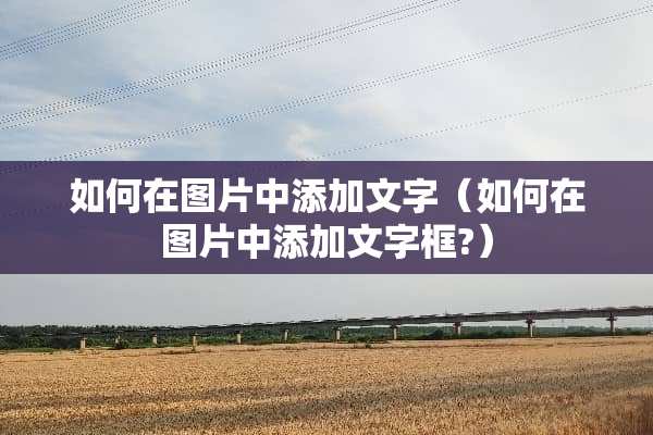如何在图片中添加文字（如何在图片中添加文字框?）