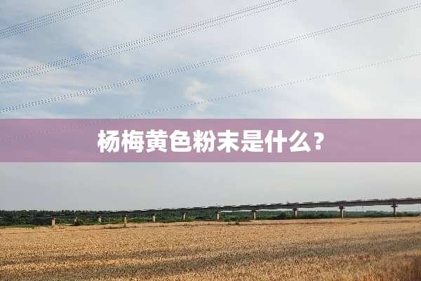 杨梅**粉末是什么？