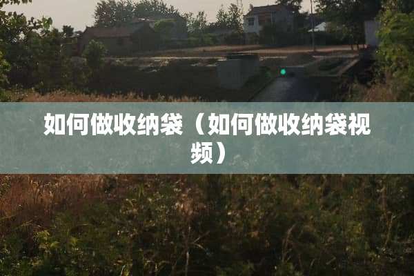 如何做收纳袋（如何做收纳袋视频）