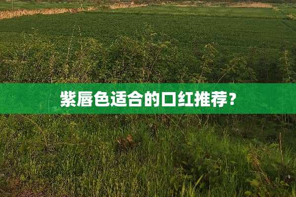 紫唇色适合的口红推荐？