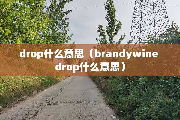 drop什么意思（brandywine drop什么意思）
