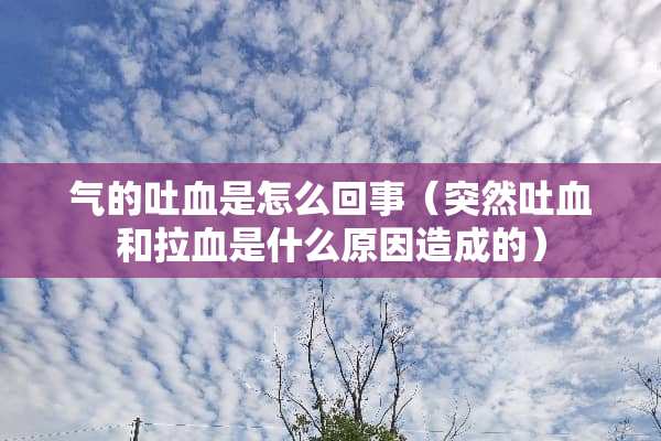 气的**是怎么回事（突然**和拉血是什么原因造成的）
