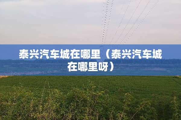 泰兴汽车城在哪里（泰兴汽车城在哪里呀）