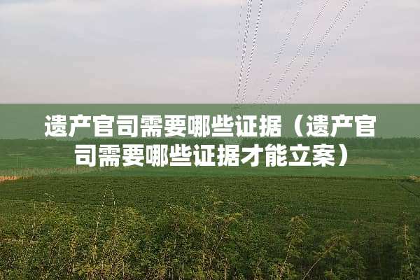 遗产官司需要哪些证据（遗产官司需要哪些证据才能立案）
