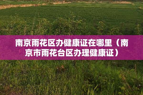 南京雨花区办健康证在哪里（南京市雨花台区办理健康证）
