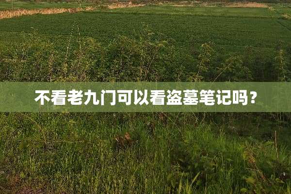 不看老九门可以看盗墓笔记吗？