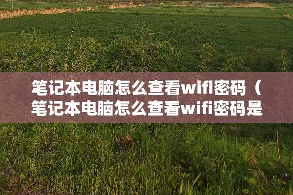 笔记本电脑怎么查看wifi密码（笔记本电脑怎么查看wifi密码是多少）