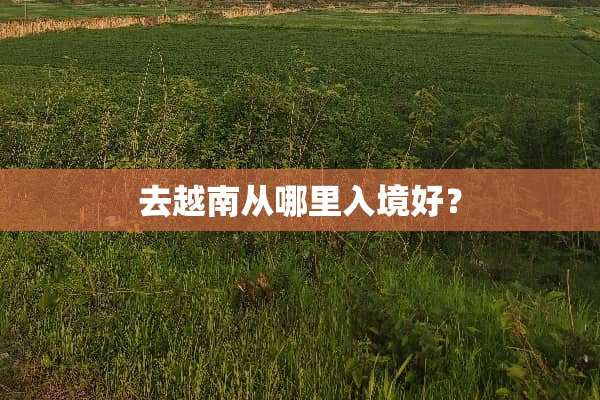 去越南从哪里入境好？