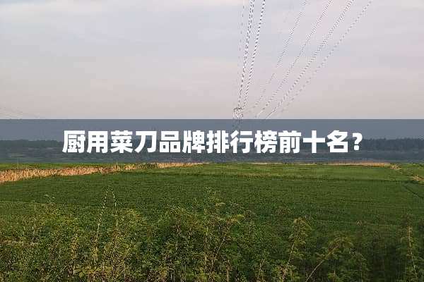 厨用菜刀品牌排行榜前十名？