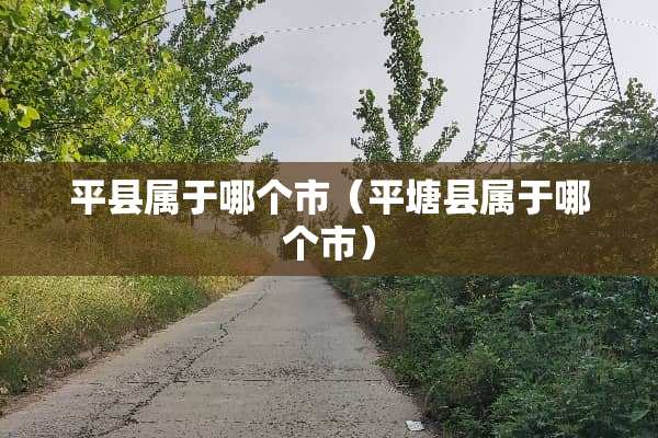 平县属于哪个市（平塘县属于哪个市）