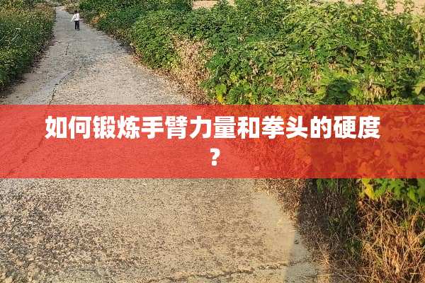 如何锻炼手臂力量和拳头的硬度？