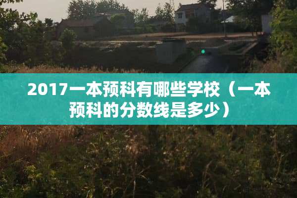 2017一本预科有哪些学校（一本预科的分数线是多少）