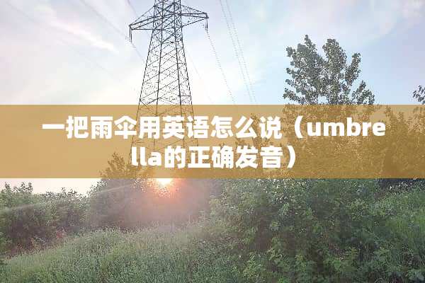 一把雨伞用英语怎么说（umbrella的正确发音）