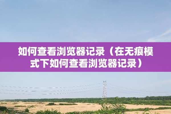 如何查看浏览器记录（在无痕模式下如何查看浏览器记录）