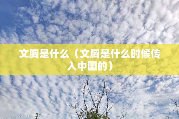 文胸是什么（文胸是什么时候传入中国的）