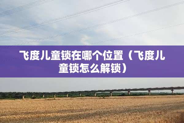 飞度儿童锁在哪个位置（飞度儿童锁怎么解锁）