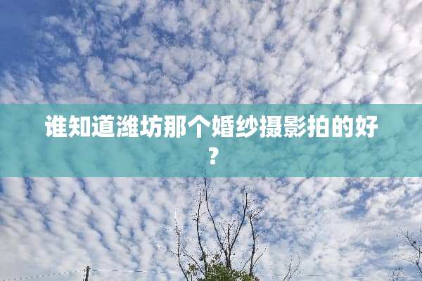谁知道潍坊那个婚纱摄影拍的好？