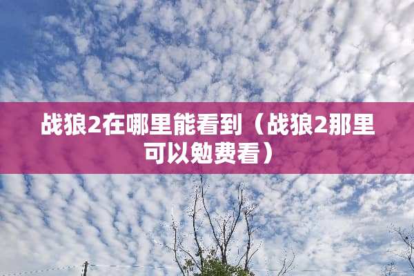 战狼2在哪里能看到（战狼2那里可以勉费看）