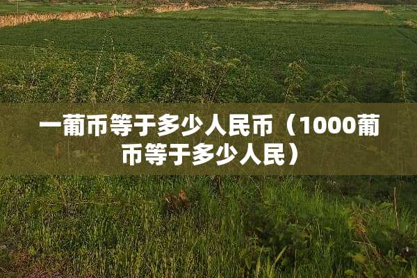 一葡币等于多少人民币（1000葡币等于多少人民）