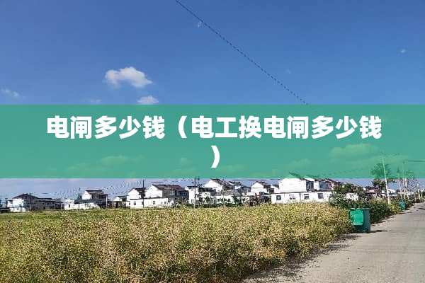 电闸多少钱（电工换电闸多少钱）