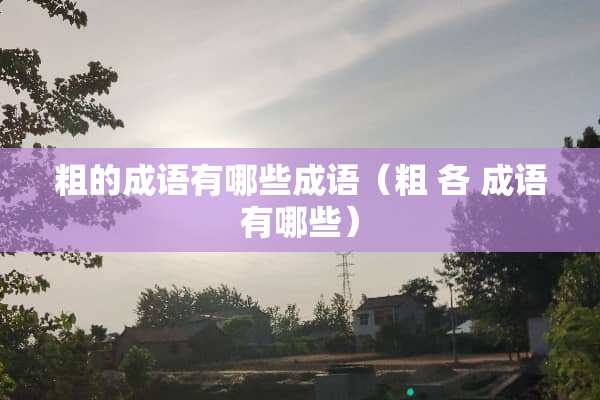 粗的成语有哪些成语（粗 各 成语有哪些）