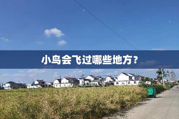 小鸟会飞过哪些地方？