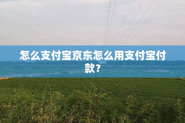 怎么支付宝京东怎么用支付宝付款？
