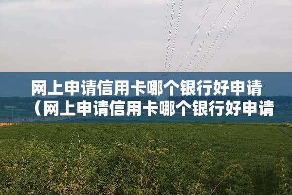 网上申请***哪个银行好申请（网上申请***哪个银行好申请一些）