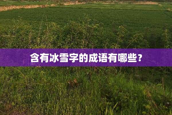 含有冰雪字的成语有哪些？