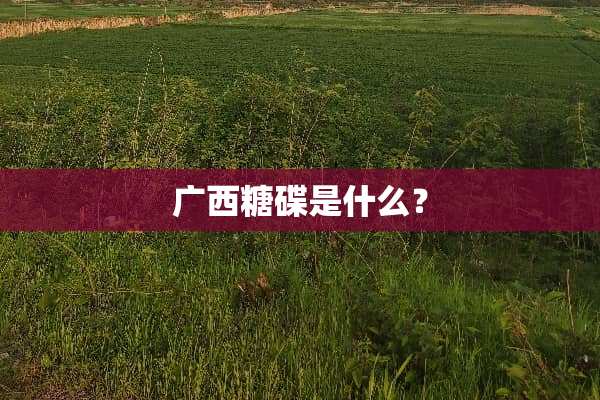 广西糖碟是什么？