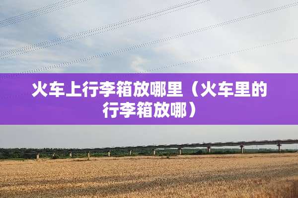 火车上行李箱放哪里（火车里的行李箱放哪）