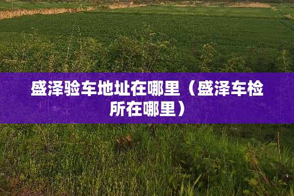盛泽验车地址在哪里（盛泽车检所在哪里）