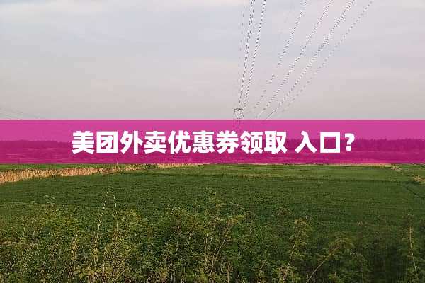 美团外卖优惠券领取 入口？