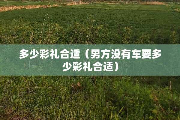 多少彩礼合适（男方没有车要多少彩礼合适）