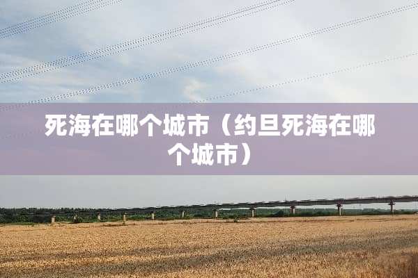 死海在哪个城市（约旦死海在哪个城市）