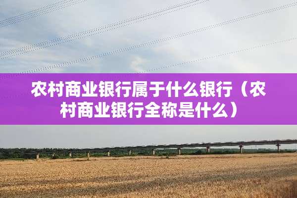 农村商业银行属于什么银行（农村商业银行全称是什么）