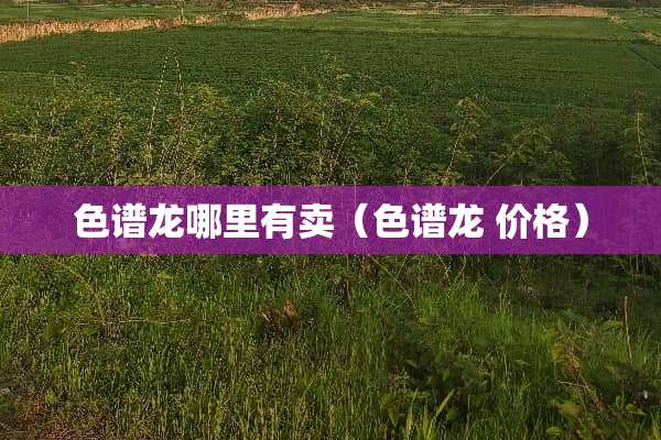 色谱龙哪里有卖（色谱龙 价格）