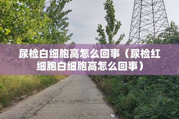 尿检白细胞高怎么回事（尿检红细胞白细胞高怎么回事）