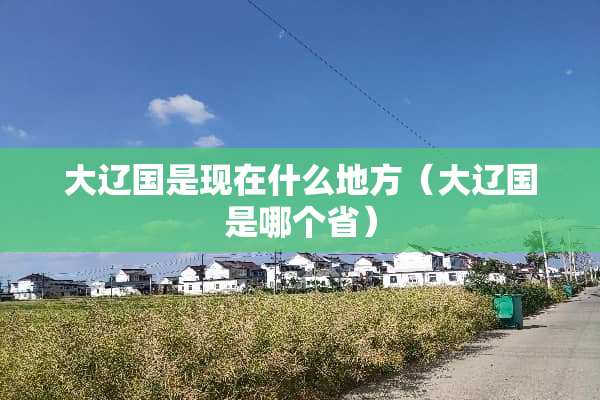 大辽国是现在什么地方（大辽国是哪个省）