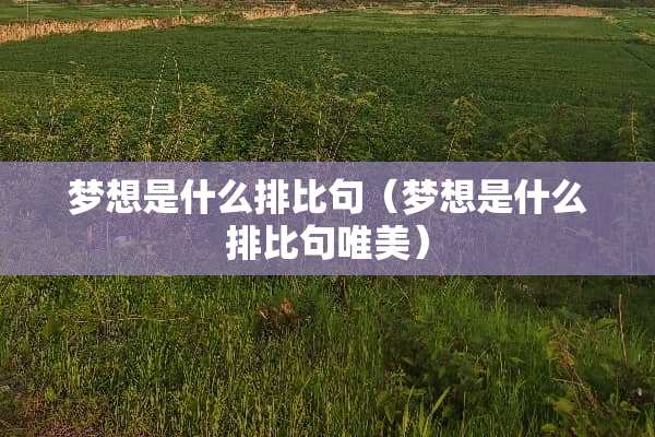 梦想是什么排比句（梦想是什么排比句唯美）