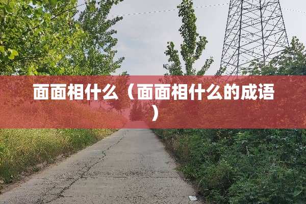 面面相什么（面面相什么的成语）