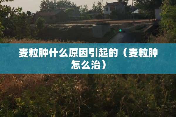 麦粒肿什么原因引起的（麦粒肿怎么治）