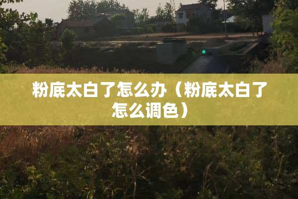 粉底太白了怎么办（粉底太白了怎么调色）