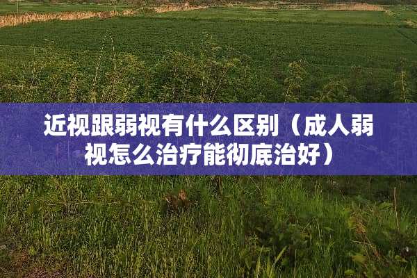近视跟弱视有什么区别（**弱视怎么治疗能彻底治好）