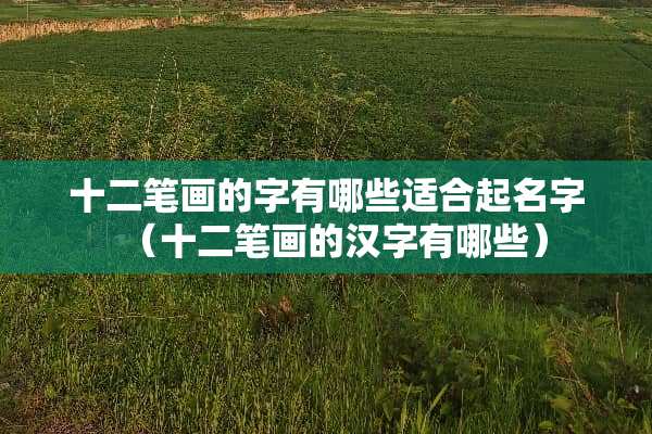 十二笔画的字有哪些适合起名字（十二笔画的汉字有哪些）