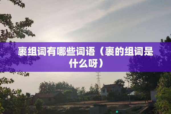 裹组词有哪些词语（裹的组词是什么呀）