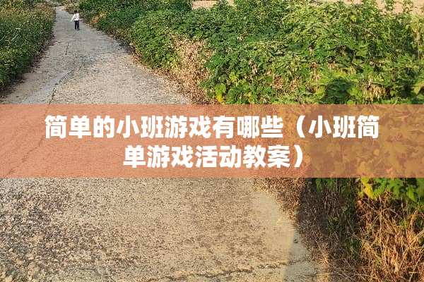 简单的小班游戏有哪些（小班简单游戏活动教案）